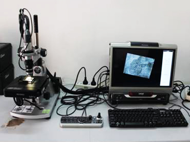 三维数码显微镜3.jpg